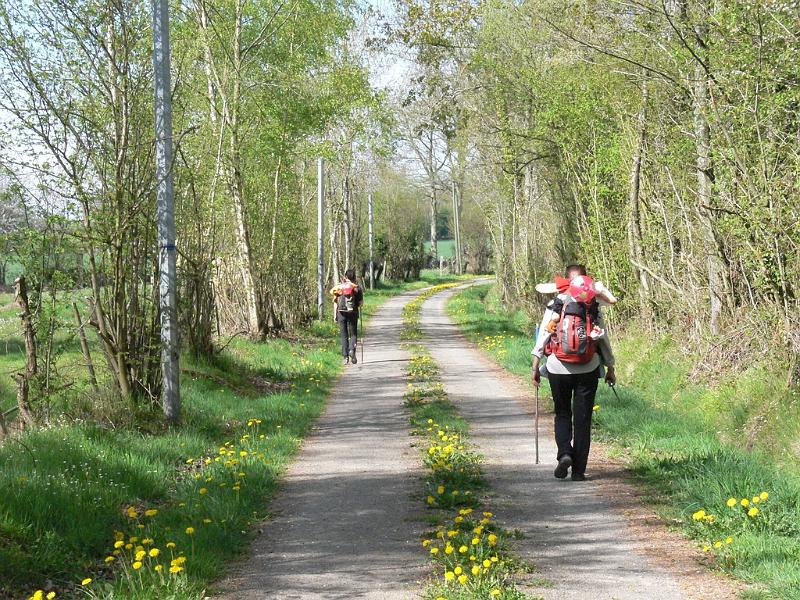 Mont Saint Michel 2010 - 193.jpg
